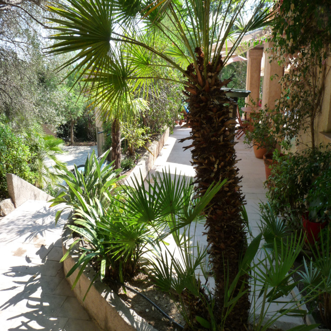 Location de vacances Villa Sainte-Maxime (83120)